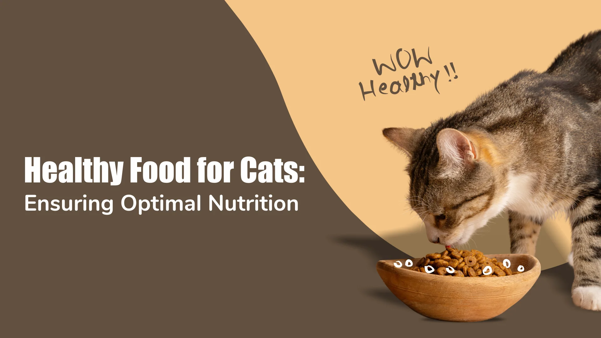 Zigly Guide: Best Cat Food for Health & Nutrition in Sectors 47 and 49, #city