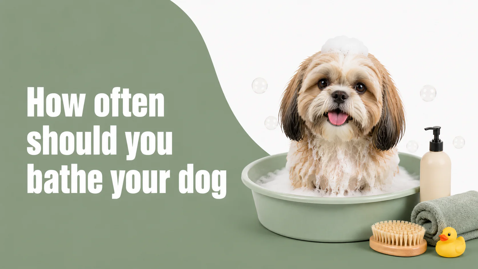 How Often Should You Bathe Your Dog in Summer in Sectors 47 and 49, gurugram? Vet-Backed Answer How Often Should You Bathe Your Dog in Summer in Sectors 47 and 49, gurugram? Vet-Backed Answer