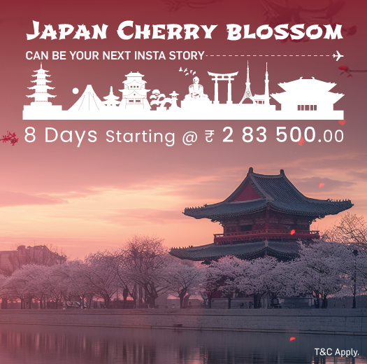 Thomas Cook - Holidays and Travel Package