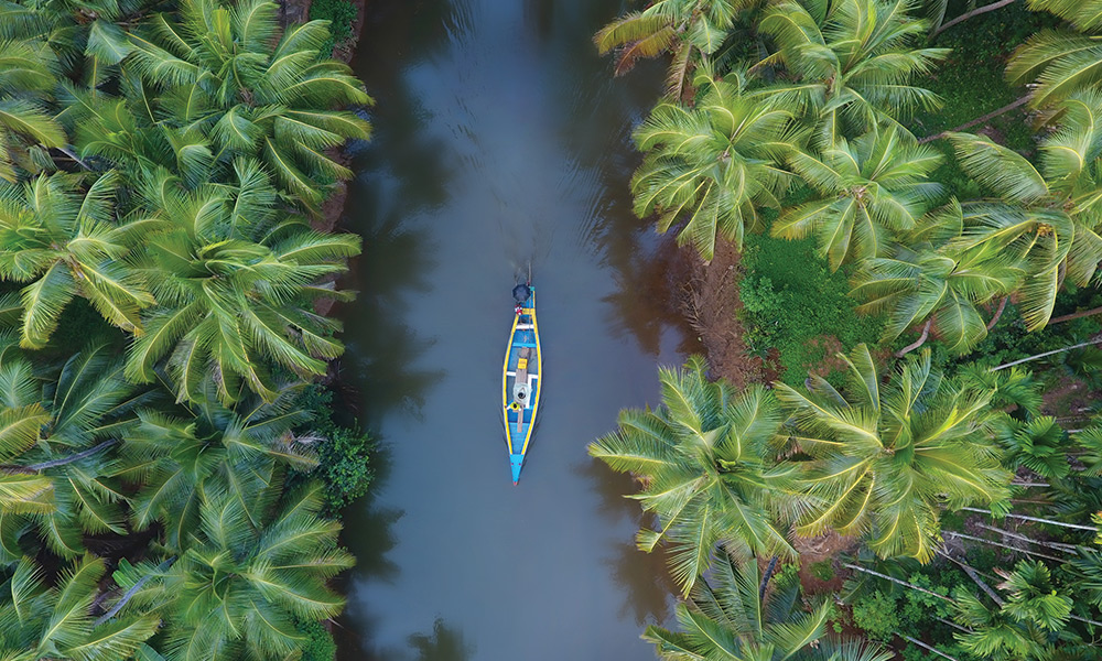 Unwrap Kerala’s Magic with Thomas Cook India’s Exclusive Kerala Tour Packages