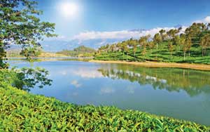 Munnar Honeymoon Packages