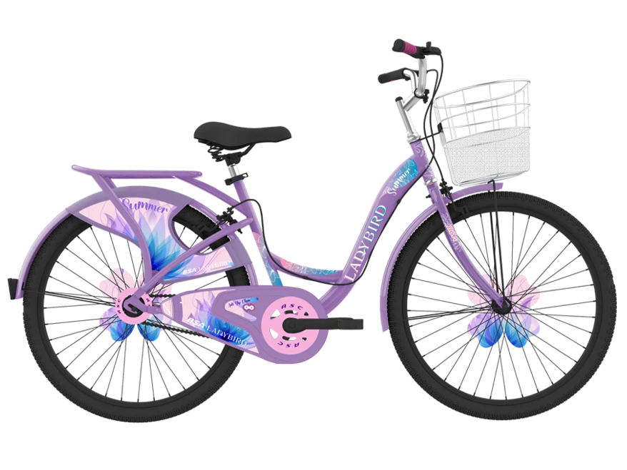 BSA Ladybird Summer ASC