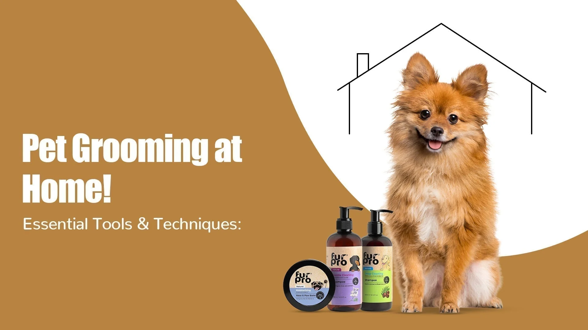 “Pet Grooming at Home in Sector 74, noida: Essential Tools & Techniques with Zigly