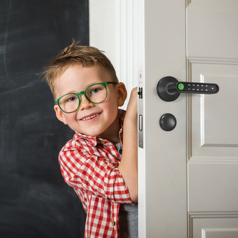Door Locks