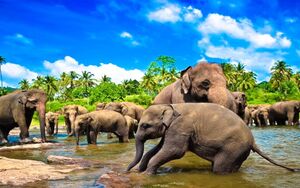 Sri Lanka Tour Packages