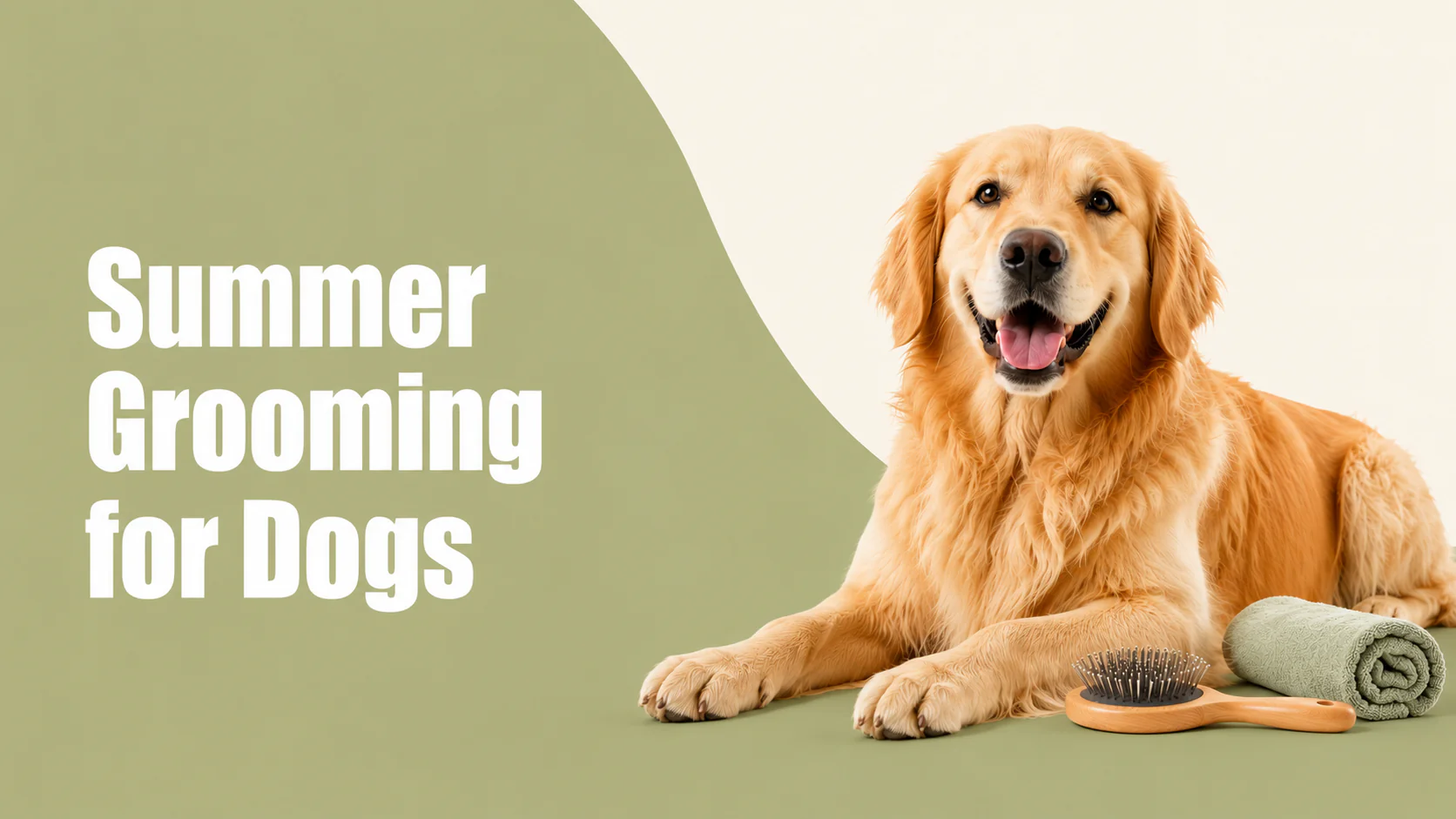 Summer Grooming for Dogs: Why a Trim (Not a Shave) is the Right Call Summer Grooming for Dogs: Why a Trim (Not a Shave) is the Right Call