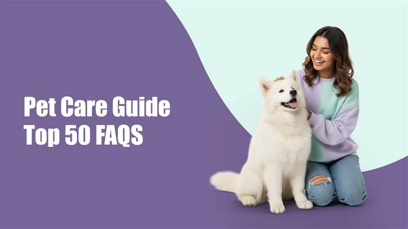 Top 50 Pet Care FAQs Every Pet Parent in Utrathiya, zirakpur Searches (Answered by Experts)
