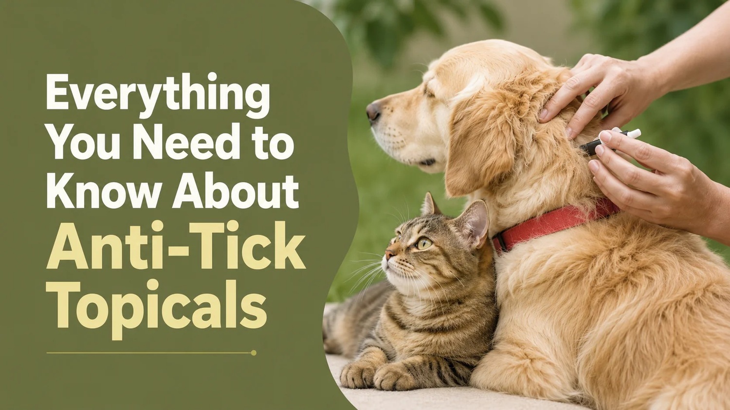 Tick Season in DLF Phase 5, gurugram: Everything You Need to Know About Anti-Tick Topicals Tick Season in DLF Phase 5, gurugram: Everything You Need to Know About Anti-Tick Topicals