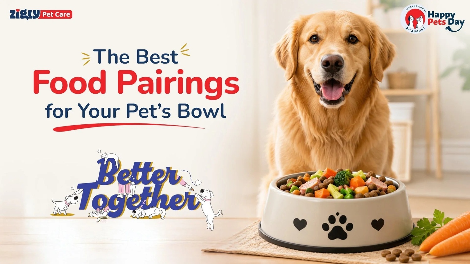 The Best Food Pairings for Your Pet's Bowl in Sectors 47 and 49, gurugram: A Vet-Backed Guide to What Goes Better Together