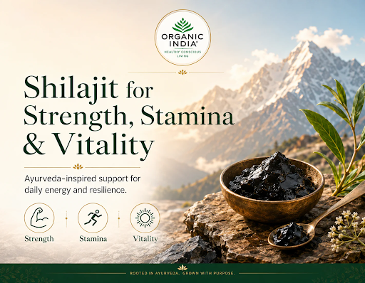 Shilajit Benefits & Uses: A Complete Ayurvedic Guide for Daily Energy in Mukundapur, kolkata