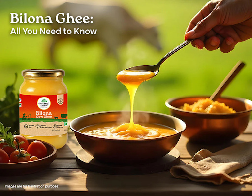Organic India Bilona Ghee: Traditional Nutrition for Modern Wellness in Mukundapur, kolkata Organic India Bilona Ghee: Traditional Nutrition for Modern Wellness in Mukundapur, kolkata