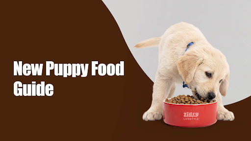 New Puppy Food Guide in Sector 70, sahibzada ajit singh nagar: What to Feed and How to Introduce It Safely New Puppy Food Guide in Sector 70, sahibzada ajit singh nagar: What to Feed and How to Introduce It Safely