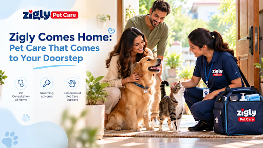 Zigly Comes Home in Sector 70, sahibzada ajit singh nagar: Pet Care at Your Doorstep Zigly Comes Home in Sector 70, sahibzada ajit singh nagar: Pet Care at Your Doorstep