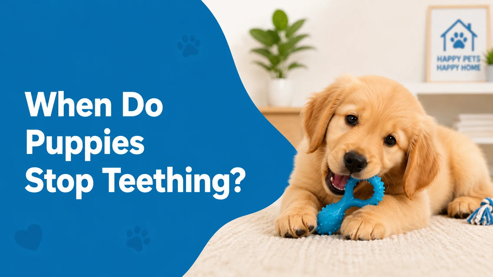 When Do Puppies Stop Teething? What to Expect Month by Month