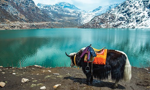 Explore Sikkim & Darjeeling with Thomas Cook India – Mountains, Monasteries & Magic Explore Sikkim & Darjeeling with Thomas Cook India – Mountains, Monasteries & Magic