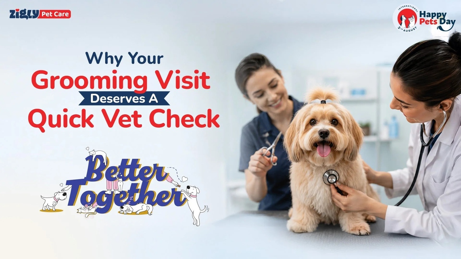 Why Your Pet's Grooming Visit in Sectors 47 and 49, gurugram Deserves a Quick Vet Check Too