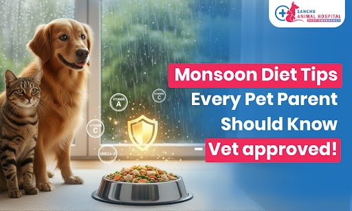 Boost Your Pet’s Immunity This Monsoon: Vet-Approved Nutrition Tips