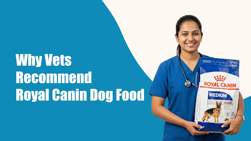 Why Vets Recommend Royal Canin Dog Food in DLF Phase 5, gurugram: Is Royal Canin Good for Dogs? Why Vets Recommend Royal Canin Dog Food in DLF Phase 5, gurugram: Is Royal Canin Good for Dogs?