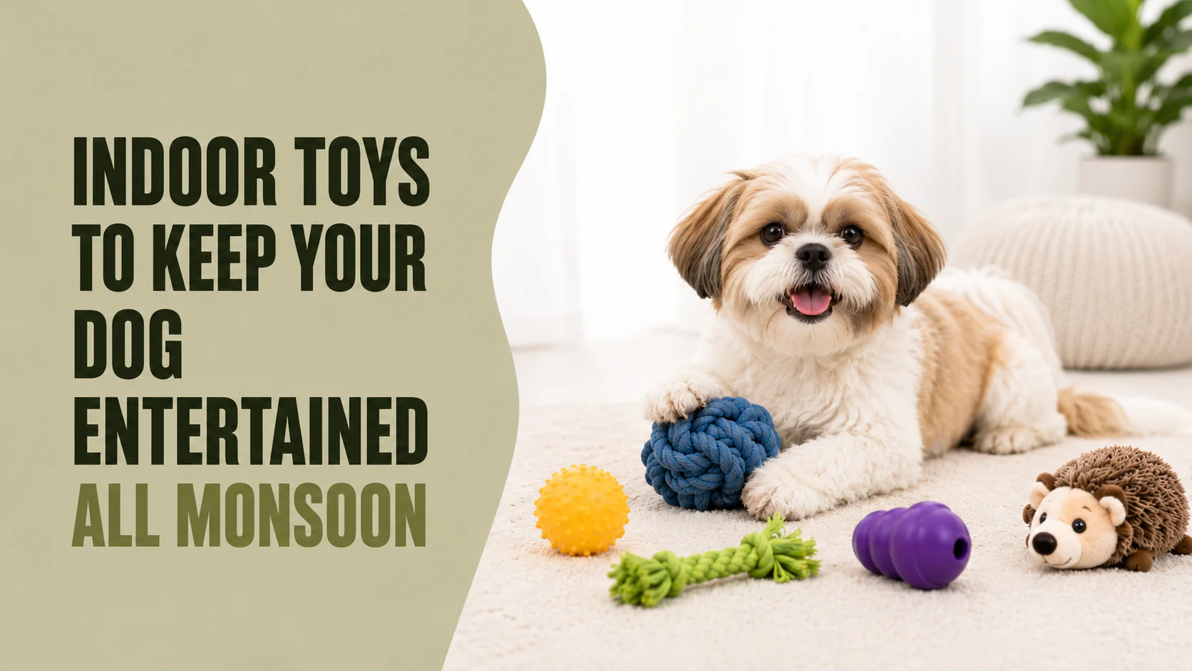 Best Indoor Dog Toys to Keep Your Dog Entertained During Monsoon in Sectors 47 and 49, gurugram Best Indoor Dog Toys to Keep Your Dog Entertained During Monsoon in Sectors 47 and 49, gurugram