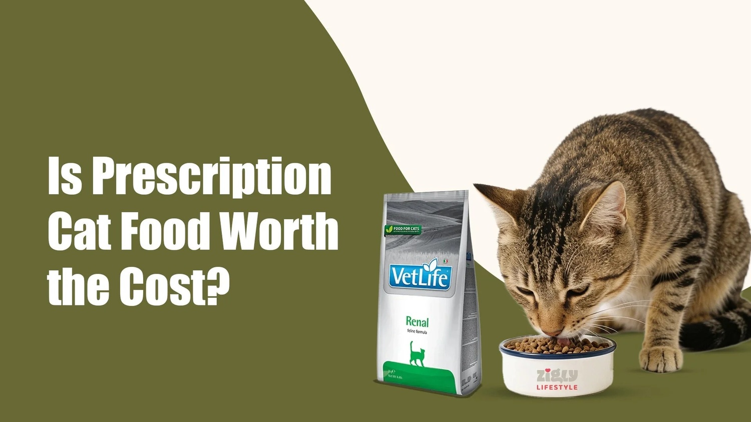 Is Prescription Cat Food Worth the Cost in Sectors 47 and 49, gurugram? A Realistic Guide for Cat Parents