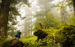 Uttarakhand Tourism